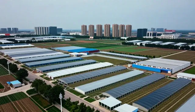 信息聚合工具如何通过界面简洁提升用户体验